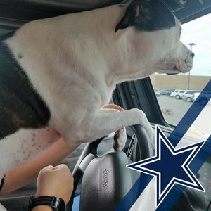 Meet your Posher, Teri